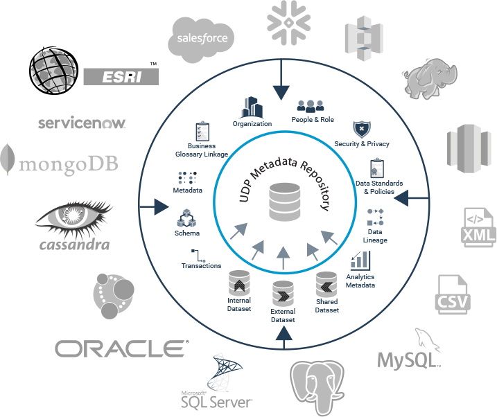 Build Data Catalog in Realtime