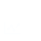 Graph Analytics